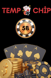 5B TEMPO CHİP